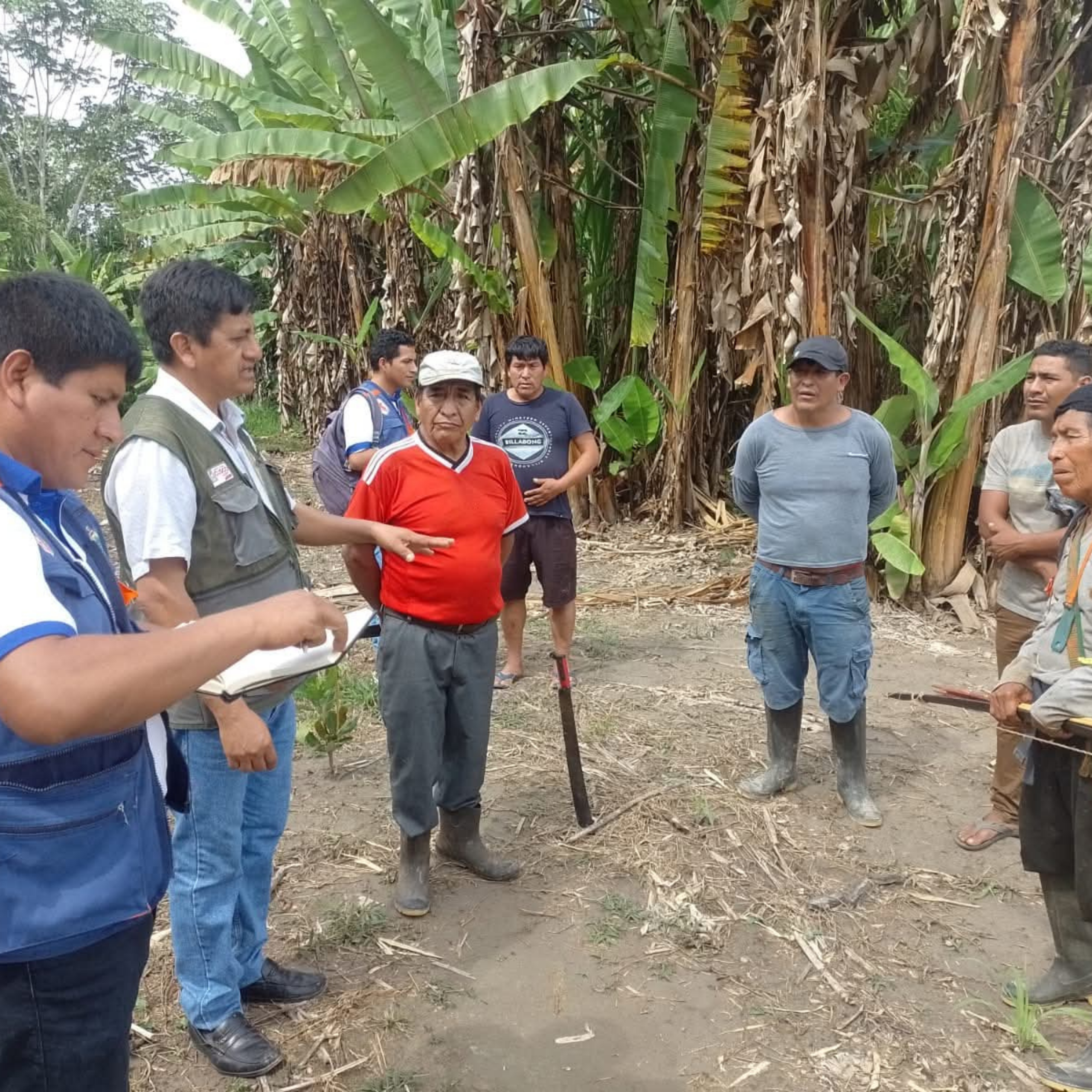 Paisaje de los Andes peruanos con valles y terrazas agrícolas